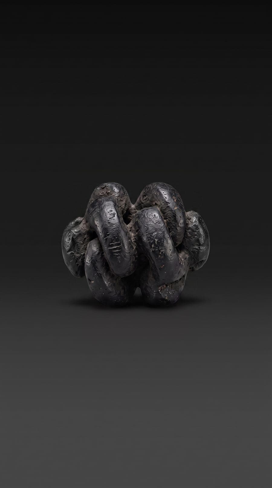 Sameness of Self and Others, a relic for a Buddhist practice