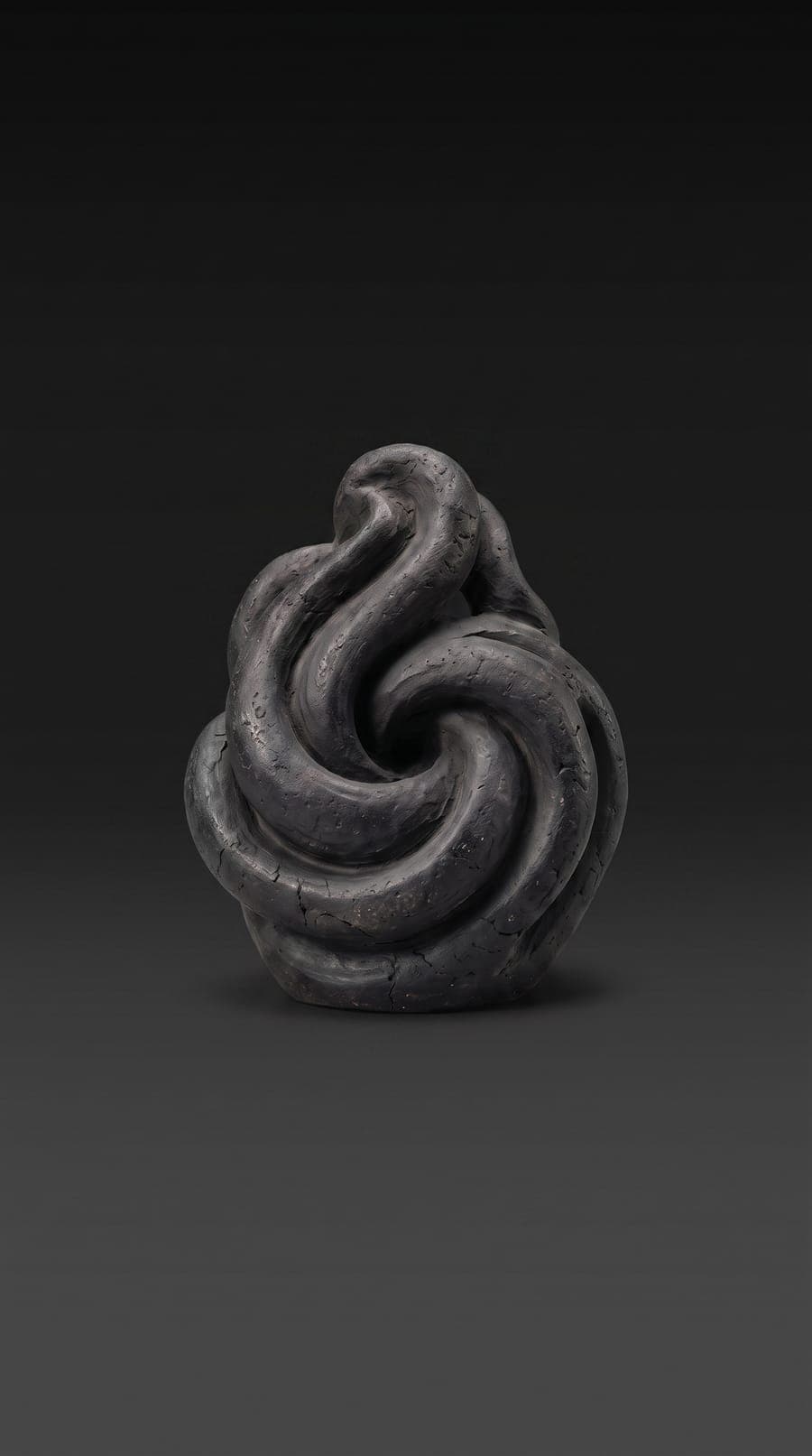 Nourishing the Flood-Like Qi, a relic for a Confucian practice